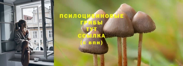 мет Верхний Тагил