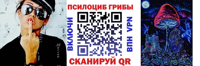 Псилоцибиновые грибы Cubensis дарк нет телеграм Высоковск